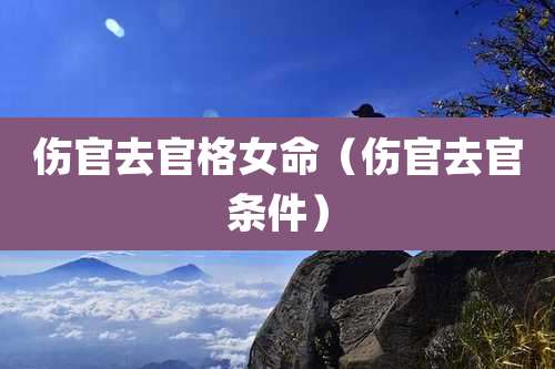 伤官去官格女命(伤官去官条件)