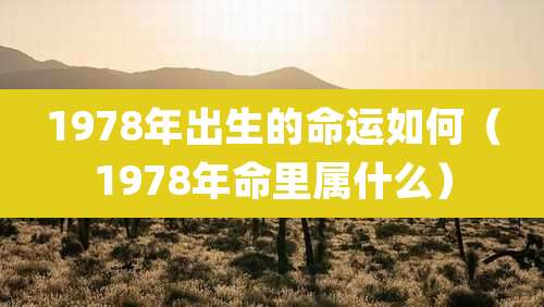 1978年出生的命运如何（1978年命里属什么）
