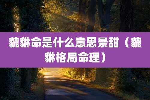 貔貅命是什么意思景甜(貔貅格局命理)