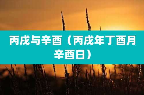 丙戌与辛酉(丙戌年丁酉月辛酉日)