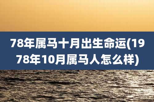 78年属马十月出生命运(1978年10月属马人怎么样)