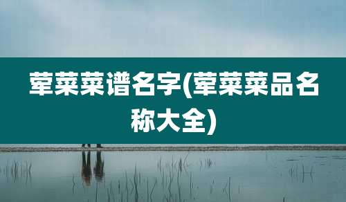 荤菜菜谱名字(荤菜菜品名称大全)