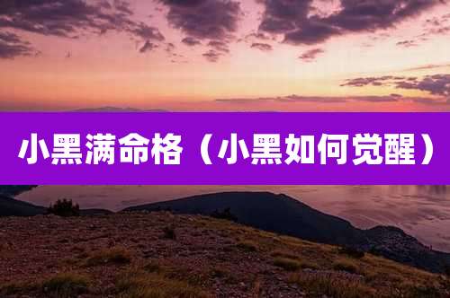 小黑满命格（小黑如何觉醒）