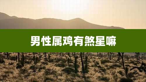 男性属鸡有煞星嘛