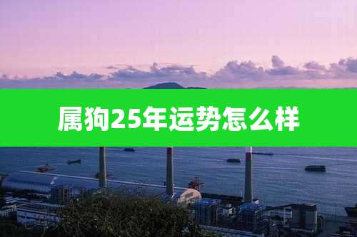 属狗25年运势怎么样