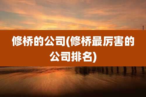 修桥的公司(修桥最厉害的公司排名)