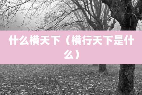 什么横天下(横行天下是什么)