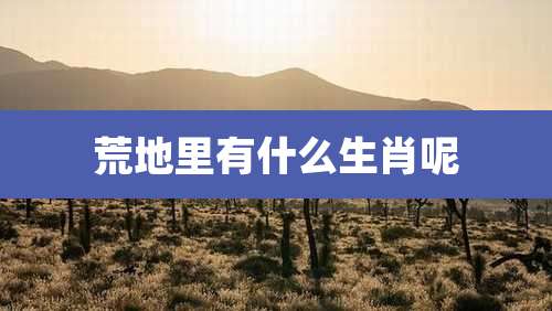 荒地里有什么生肖呢