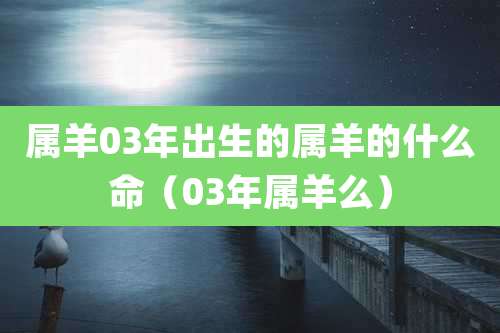 属羊03年出生的属羊的什么命（03年属羊么）