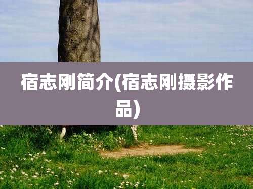 宿志刚简介(宿志刚摄影作品)