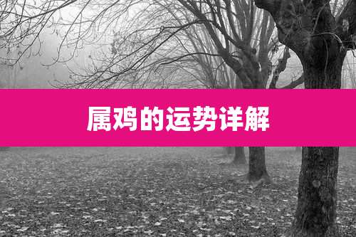 属鸡的运势详解