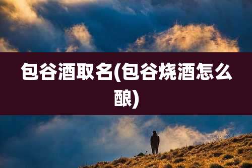 包谷酒取名(包谷烧酒怎么酿)