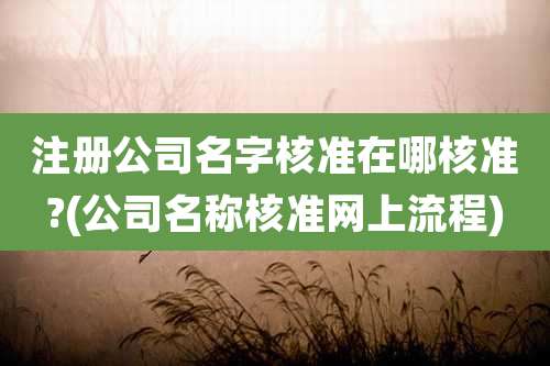 注册公司名字核准在哪核准?(公司名称核准网上流程)