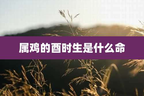 属鸡的酉时生是什么命