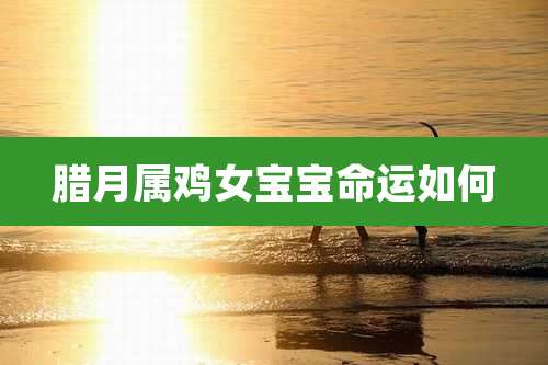 腊月属鸡女宝宝命运如何