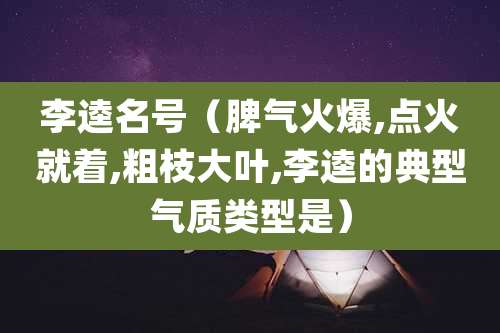 李逵名号（脾气火爆,点火就着,粗枝大叶,李逵的典型气质类型是）