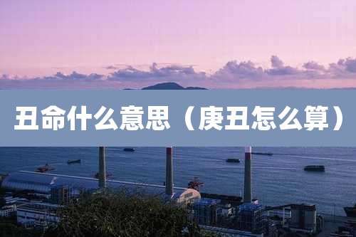 丑命什么意思（庚丑怎么算）