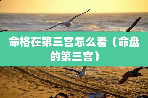命格在第三宫怎么看(命盘的第三宫)