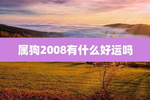 属狗2008有什么好运吗