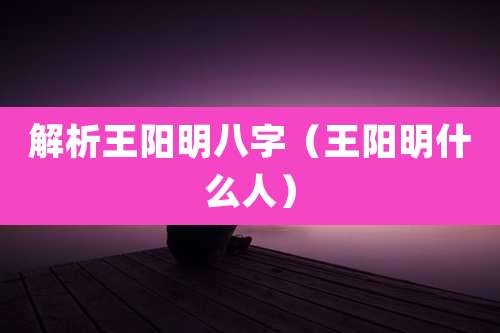 解析王阳明八字(王阳明什么人)