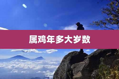 属鸡年多大岁数