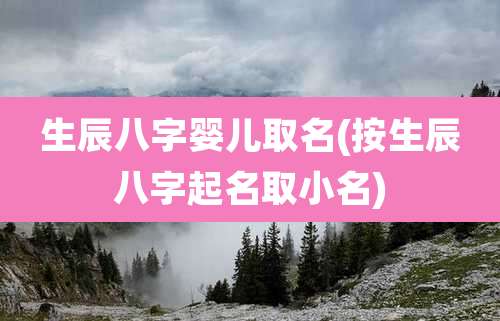 生辰八字婴儿取名(按生辰八字起名取小名)