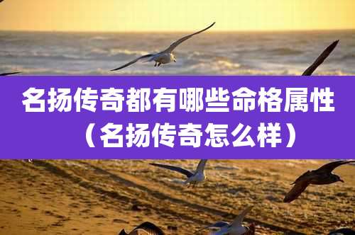 名扬传奇都有哪些命格属性(名扬传奇怎么样)