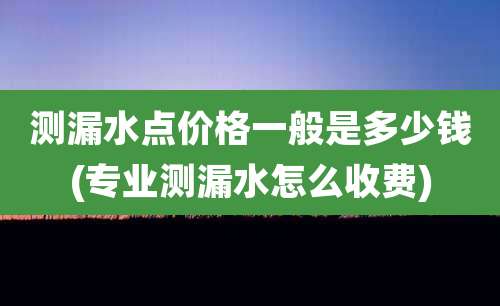 测漏水点价格一般是多少钱(专业测漏水怎么收费)