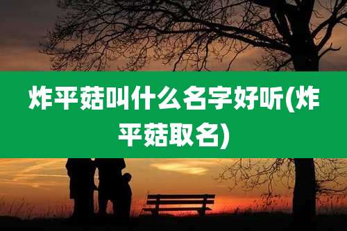 炸平菇叫什么名字好听(炸平菇取名)