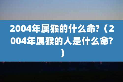 2004年属猴的什么命?（2004年属猴的人是什么命?）