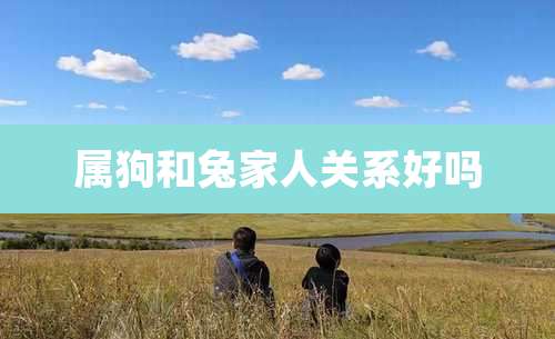属狗和兔家人关系好吗