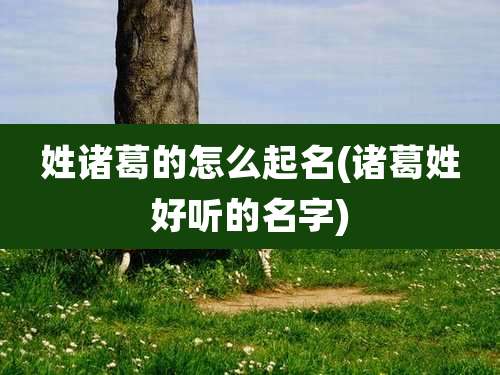 姓诸葛的怎么起名(诸葛姓好听的名字)