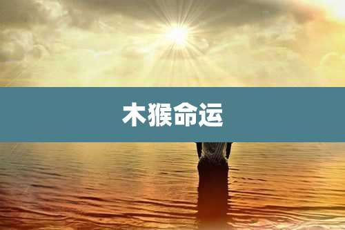木猴命运