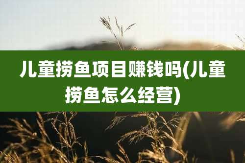 儿童捞鱼项目赚钱吗(儿童捞鱼怎么经营)