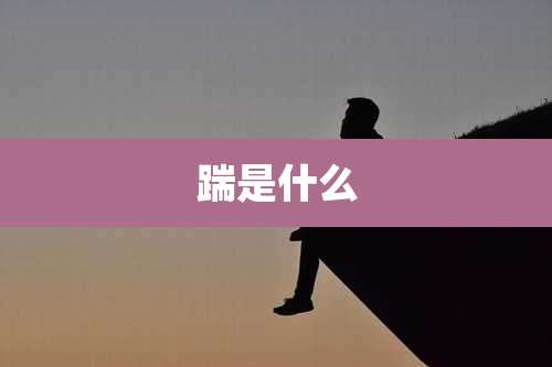 踹是什么