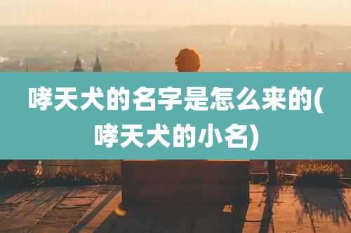 哮天犬的名字是怎么来的(哮天犬的小名)