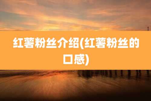 红薯粉丝介绍(红薯粉丝的口感)