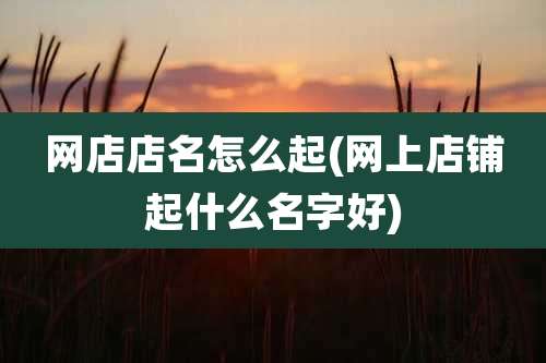 网店店名怎么起(网上店铺起什么名字好)