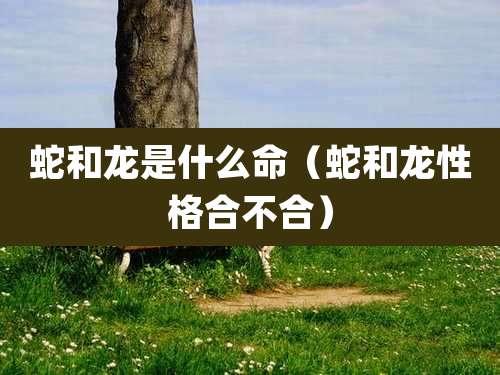 蛇和龙是什么命（蛇和龙性格合不合）