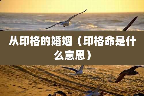 从印格的婚姻（印格命是什么意思）