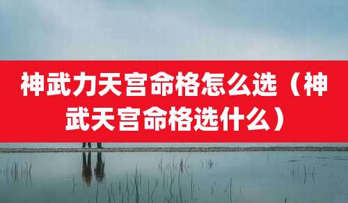 神武力天宫命格怎么选（神武天宫命格选什么）