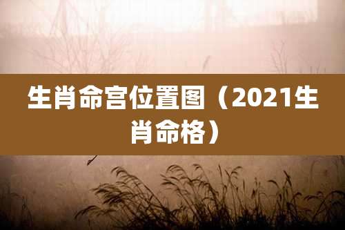 生肖命宫位置图（2021生肖命格）
