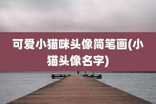 可爱小猫咪头像简笔画(小猫头像名字)