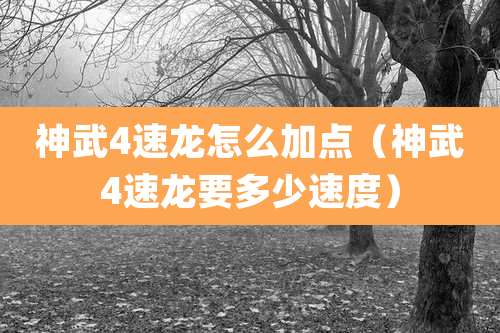 神武4速龙怎么加点（神武4速龙要多少速度）