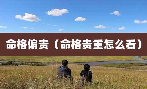 命格偏贵（命格贵重怎么看）