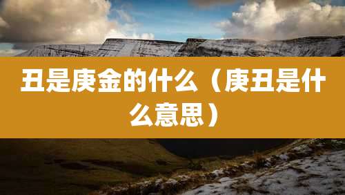 丑是庚金的什么（庚丑是什么意思）