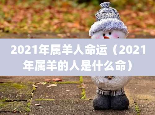 2021年属羊人命运（2021年属羊的人是什么命）