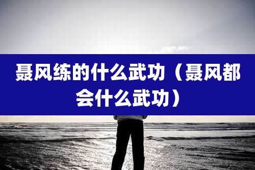 聂风练的什么武功(聂风都会什么武功)