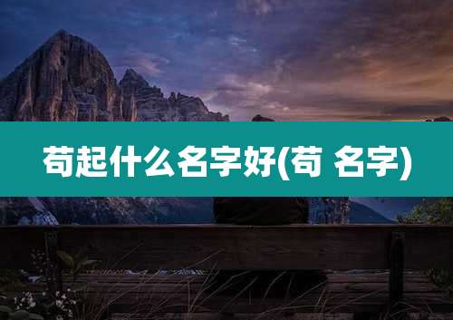 苟起什么名字好(苟 名字)