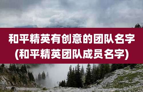 和平精英有创意的团队名字(和平精英团队成员名字)